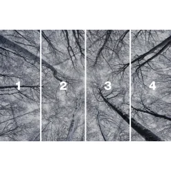 Komar Vlies Fototapete Up 400x250 cm
