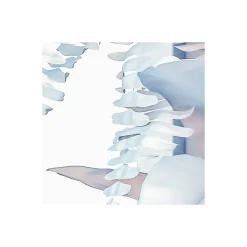 Komar Vlies Fototapete Vertical Garden 400x250 cm