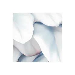 Komar Vlies Fototapete Vertical Garden 400x250 cm