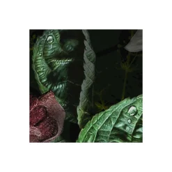 Komar Vlies Fototapete Victoria Black 400x250 cm