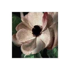 Komar Vlies Fototapete Victoria Black 400x250 cm