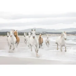Komar Papier-Fototapete White Horses 8-teilig 368 x 254 cm