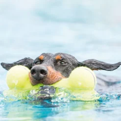 Kong Air Dog Bone Small