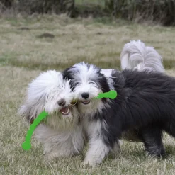 KONG Hundespielzeug Safestix 29 cm