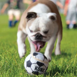 KONG Hundespielzeug Sport Balls farblich sortiert Durchmesser 4 cm 3 Stück