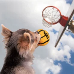 KONG Hundespielzeug Sport Balls farblich sortiert Durchmesser 4 cm 3 Stück