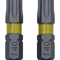 Krone Bit Torx 40 2 Stück