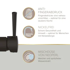 LENZ ND-Spültischamatur Nova mit Brause Schwarz Matt