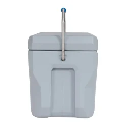 Lifetime Kühlbox Premium 26,5 L 37x59,1x41,4cm Grau
