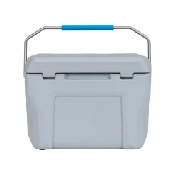 Lifetime Kühlbox Premium 26,5 L 37x59,1x41,4cm Grau