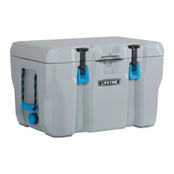 Lifetime Kühlbox Premium 52 L 44,8x68,1x43,8cm Grau