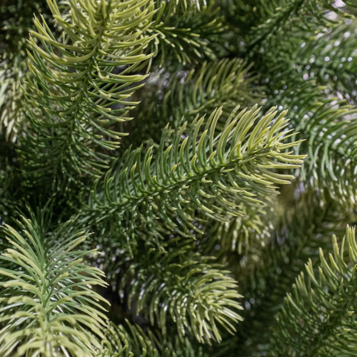 Nagoya Weihnachtsbaum grün 150x91 cm