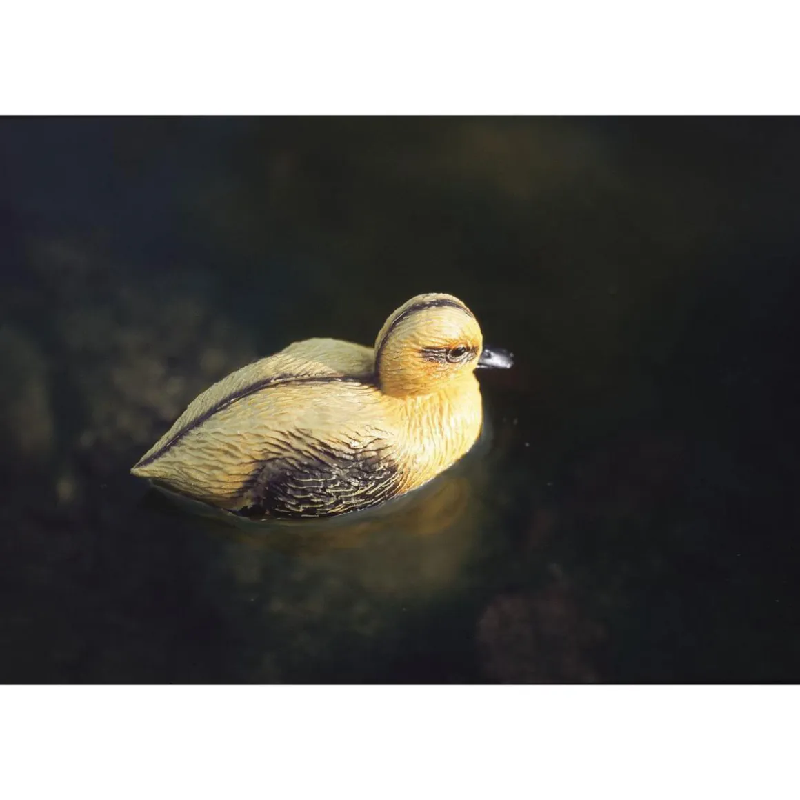 Oase Teichfigur Entenküken