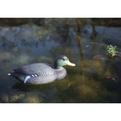 Oase Teichfigur Stockente weiblich