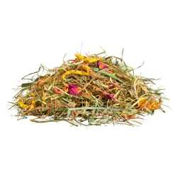 Panto Premiumheu Blütenwiese 750 g