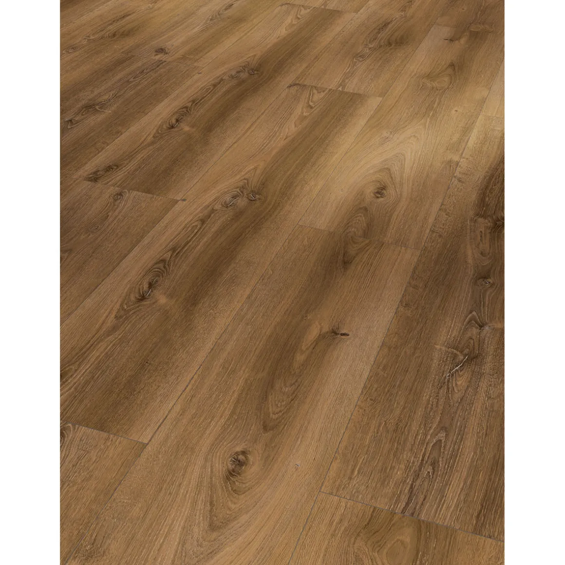 Parador Laminat Basic 600 Eiche Monatana