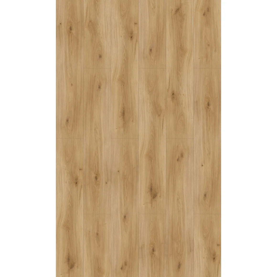 Parador Laminatboden „Basic 600“, Eiche Horizont Natur, Seidenmatte Struktur, 24,3x128,5 cm