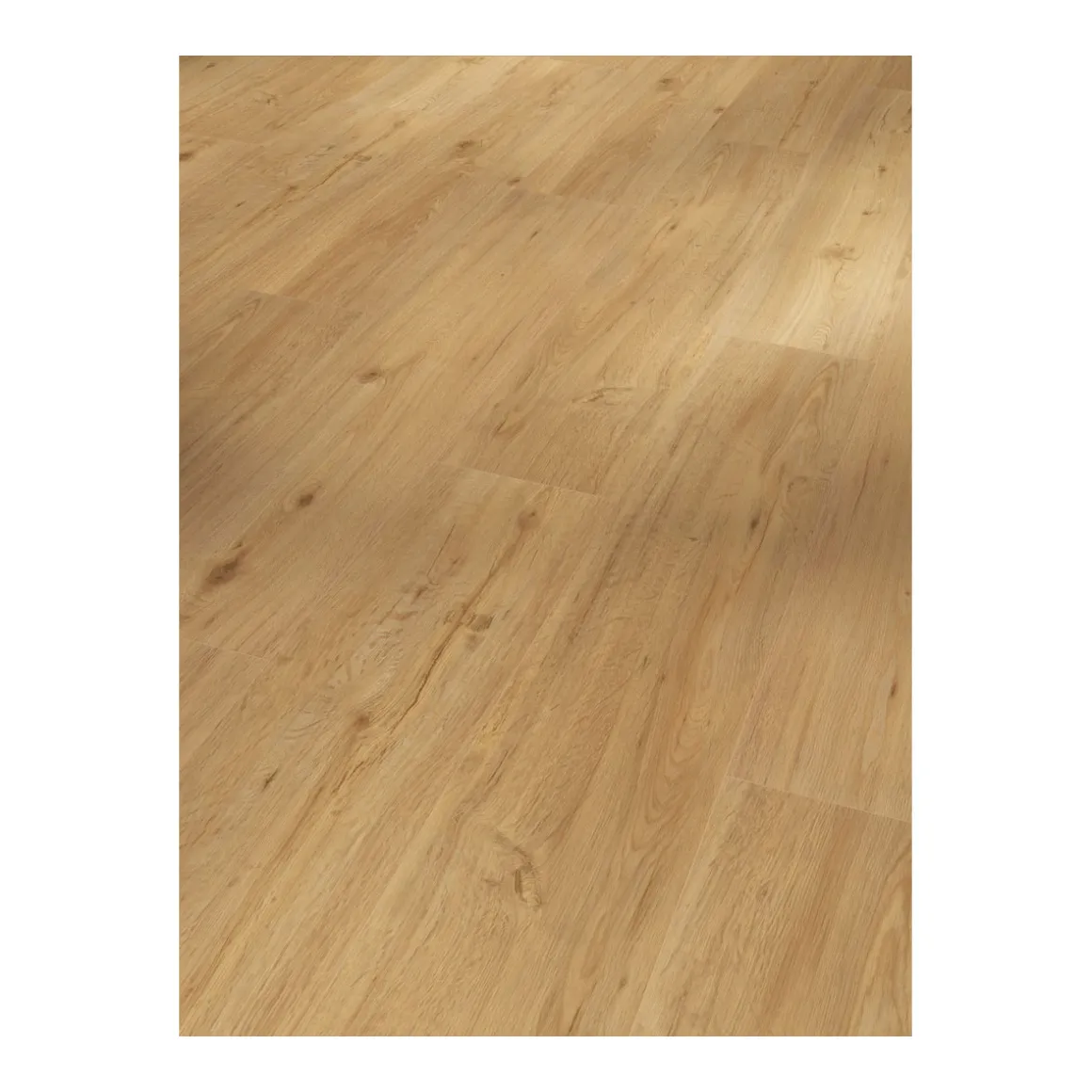 Parador Vinylboden Basic 5.3 Eiche Natur gebürstete Struktur 22,5 x 120,9 cm