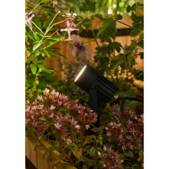 Paulmann Outdoor Link Light Set Spot 3x3W IP67 3000K 12V