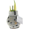 Plantiflor Amaryllis mit Socke gewachst ca 32 cm