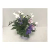 Plantiflor Ballonblume 3-farbig Durchmesser 15 cm
