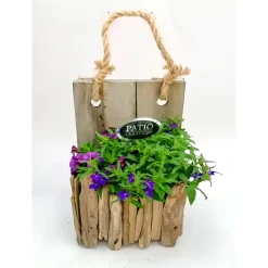 Plantiflor Bepflanztes Gefäß 20 x 12 cm Wandhänger