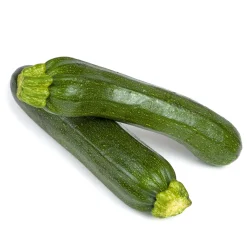 Plantiflor Zucchini Tristan F1 Topf Durchmesser 11 cm