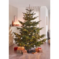 Plantiflor BIO Nordmanntanne 150-190 cm