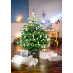 Plantiflor Nordmanntanne Silber-Qualität 150-190 cm