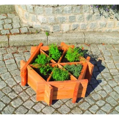 Promadino Kräuterhexagon Eva