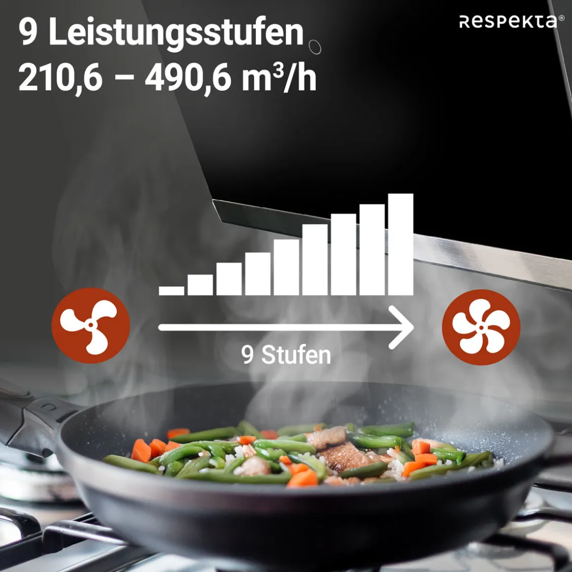 Respekta Haube Schwarz, 60 cm, EEK A++9 Leistungsstufen LED-Beleuchtung