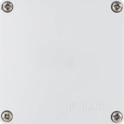 REV Ritter Abzweigkasten IP54/65 grau