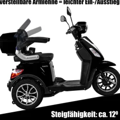 Rolektro E-Dreiradroller „25 V.3“ 1000 W, schwarz