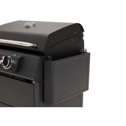 Rothmann Elektrogrill eSTAR
