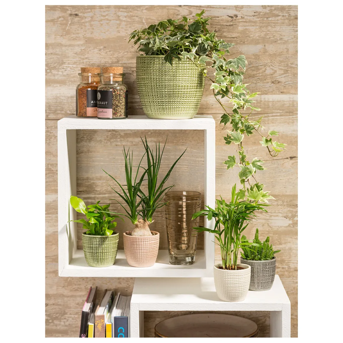 Scheurich Übertopf Corteza Panna 866 19 cm