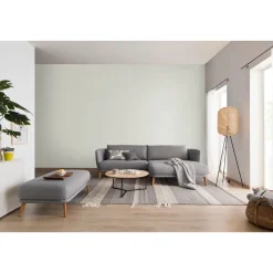 Schöner Wohnen Farbe Wandfarbe Glimmerfarbe silvershine grey 2,5 Liter