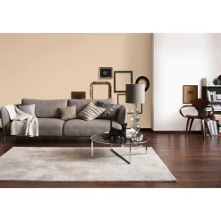 Schöner Wohnen Farbe Wandfarbe Trendfarbe sand 5 Liter