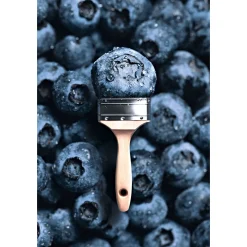 Schöner Wohnen Farbe Trendfarbe Blueberry 2,5 L