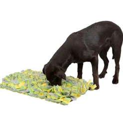 Schnüffelteppich 70 x 50 cm mehrfarbig