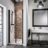 Schulte BlackStyle Pendeltür in Nische Alexa Style 2.0 192 x 80 cm