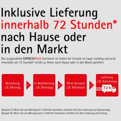 Schulte Drehtür Sunny inkl Seitenwand und Duschwanne 90 x 90 cm
