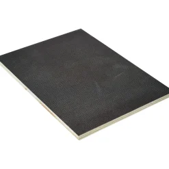 Sieb-/Film-Platte Birke 1200 x 600 x 9 mm