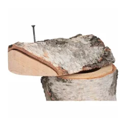 Siena Garden Nistkasten Birke 32 mm