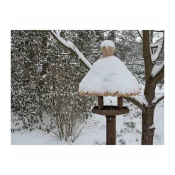 Siena Garden Vogelhaus Sylt