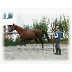 Softlonge 8 m schwarz-rot