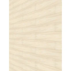 Specht Ambiente Paneel 10mm Birke hell