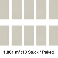 Specht Vinylboden Vinyl SPC Ambiente Fliese Alaska 610 x 304,8 x 4,8 mm