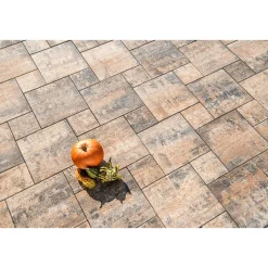 Terrassenplatte No 1 Multi Mehrformat Muschelkalk