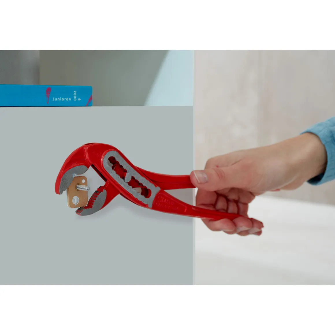 Tesa Klebenagel für Tapete und Putz 2 Stück Traglast 2 x 2 kg