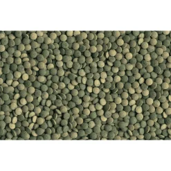 Tetra Fischfutter Pleco Tablets 58 Tabletten